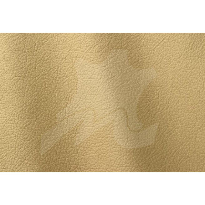 Aligo Group фото